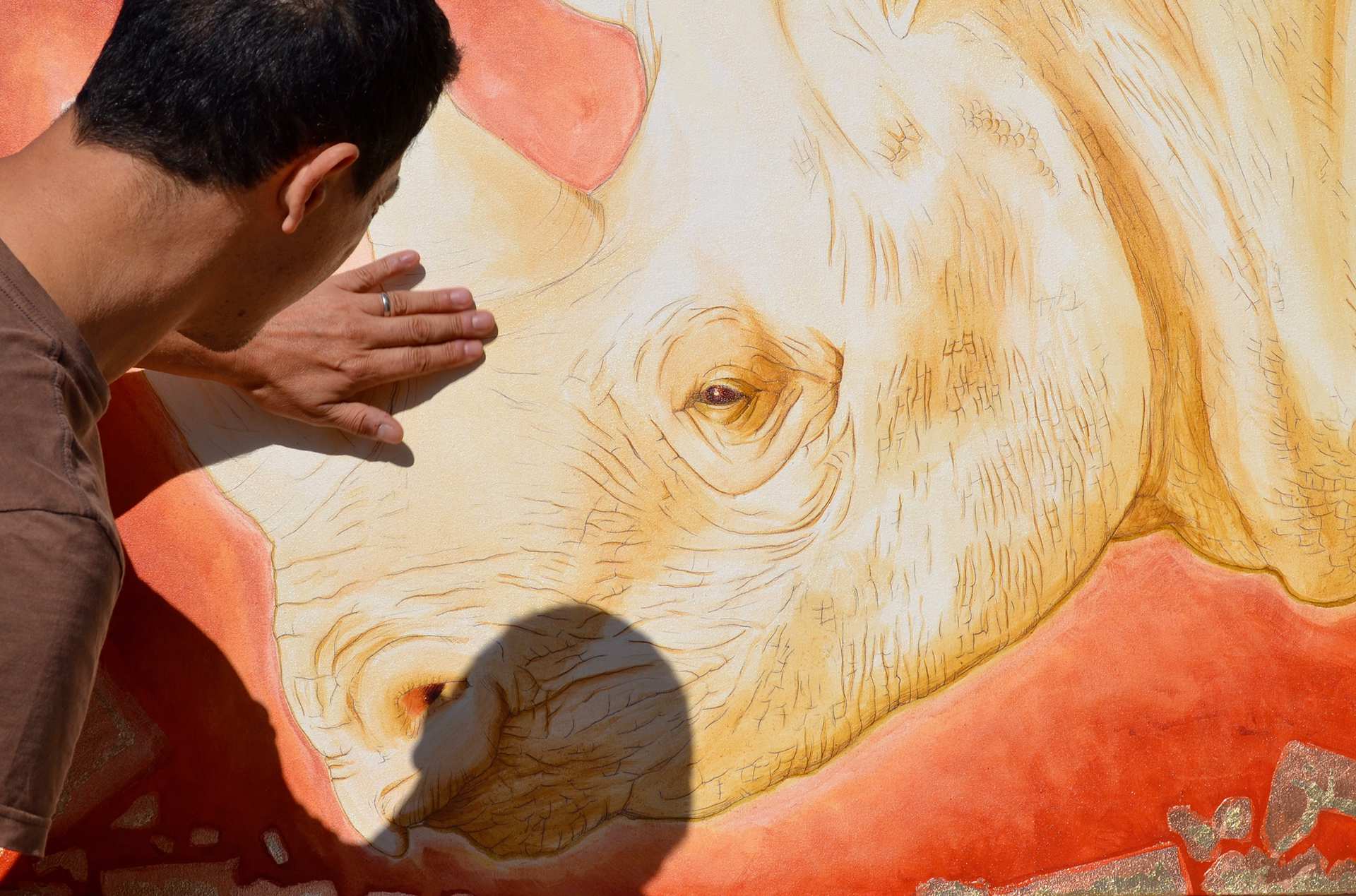 An Italian artist based in South Africa